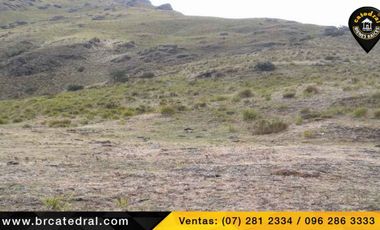 Terreno de venta en Trinidad Molleturo – código:17934