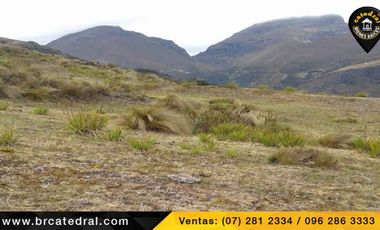 Terreno de venta en Trinidad Molleturo – código:17934