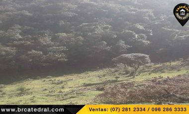 Terreno de venta en Trinidad Molleturo – código:17934