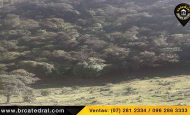 Terreno de venta en Trinidad Molleturo – código:17934