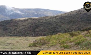Terreno de venta en Trinidad Molleturo – código:17934