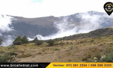 Terreno de venta en Trinidad Molleturo – código:17934