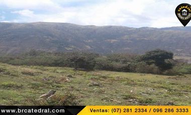 Terreno de venta en Trinidad Molleturo – código:17934