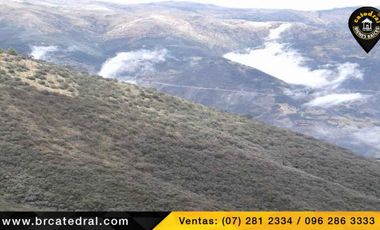 Terreno de venta en Trinidad Molleturo – código:17934