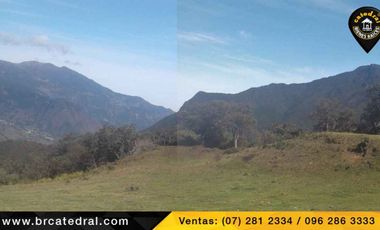 Terreno de venta en Trinidad Molleturo – código:17934