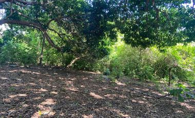 TERRENO EN VENTA PARA FRACCIONAR  PARAISO TABASCO