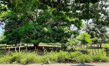 TERRENO EN VENTA PARA FRACCIONAR  PARAISO TABASCO