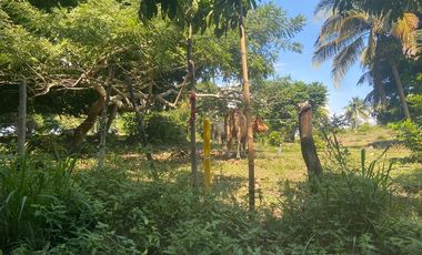 TERRENO EN VENTA PARA FRACCIONAR  PARAISO TABASCO