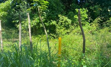 TERRENO EN VENTA PARA FRACCIONAR  PARAISO TABASCO