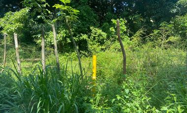 TERRENO EN VENTA PARA FRACCIONAR  PARAISO TABASCO