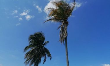 TERRENO EN VENTA PARA FRACCIONAR  PARAISO TABASCO