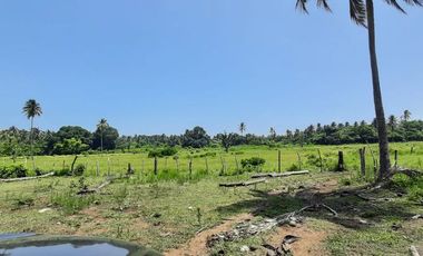 TERRENO EN VENTA PARA FRACCIONAR  PARAISO TABASCO