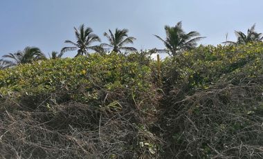 TERRENO EN VENTA PARA FRACCIONAR  PARAISO TABASCO