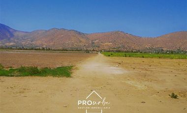 Agrícola en Venta en Hacienda Curacavi Los Capachos ,séctor A