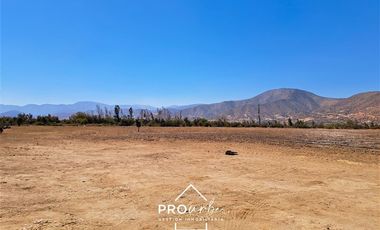 Agrícola en Venta en Hacienda Curacavi Los Capachos ,séctor A