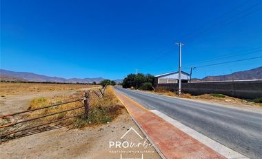 Agrícola en Venta en Hacienda Curacavi Los Capachos ,séctor A