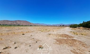 Agrícola en Venta en Hacienda Curacavi Los Capachos ,séctor A