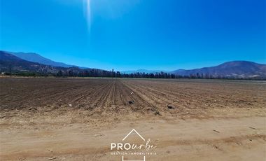 Agrícola en Venta en Hacienda Curacavi Los Capachos ,séctor A