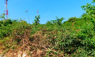 lote en venta en pradomar. Cod V85966