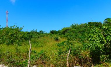 lote en venta en pradomar. Cod V85966