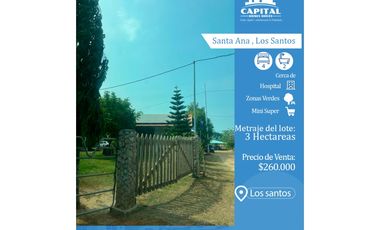 LOTE SANTA ANA - LOS SANTOS