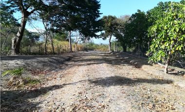 VENDO LOTE 1000 MTS2 EN PLAYA CORONA