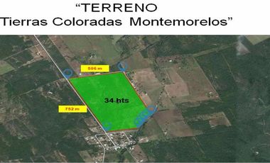 TERRENO EN RENTA MONTEMORELOS 34 HECTÁREAS $ 1.00 POR M2