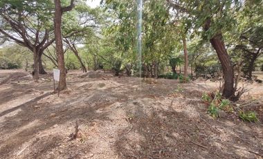 lote en venta en bocono. Cod V29753