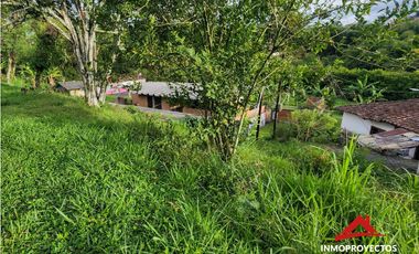 Lote mixto sobre la vía La Romelia-El Pollo, Dosq