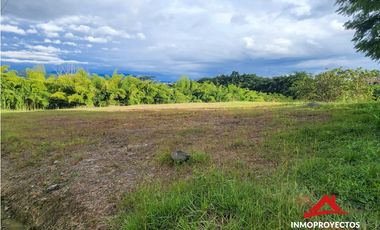 Lote mixto sobre la vía La Romelia-El Pollo, Dosq