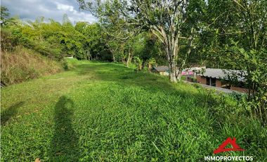 Lote mixto sobre la vía La Romelia-El Pollo, Dosq