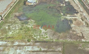 🚨🌱 Activo Agrícola Productivo – Oportunidad Estratégica 🌱🚨