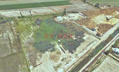 🚨🌱 Activo Agrícola Productivo – Oportunidad Estratégica 🌱🚨