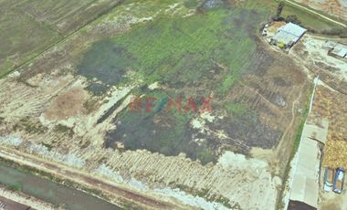 🚨🌱 Activo Agrícola Productivo – Oportunidad Estratégica 🌱🚨