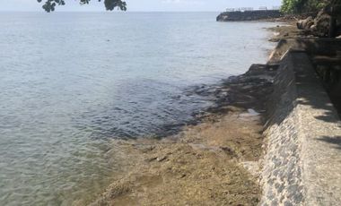 2,900 sqm Beachfront Property in Samal Island For Sale