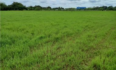 TERRENO PEGADO A LA VIA INTERAMERICANA / LA MESA DE VERAGUAS / 25000m2