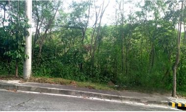 255 SQM Lot for Sale in Greenville Heights Consolacion Cebu very near the Subdivision Gate