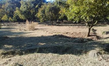 Increible Oportunidad, Rancho en Ixtapan de la Sal