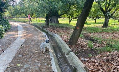 Increible Oportunidad, Rancho en Ixtapan de la Sal