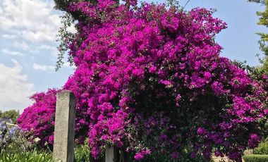 Increible Oportunidad, Rancho en Ixtapan de la Sal