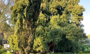 Increible Oportunidad, Rancho en Ixtapan de la Sal