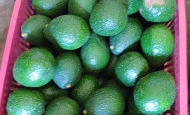 Increible Oportunidad, Rancho en Ixtapan de la Sal