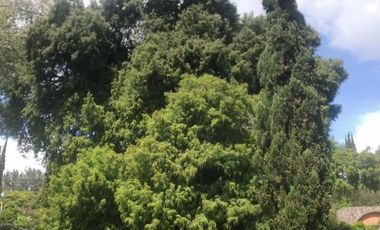 Increible Oportunidad, Rancho en Ixtapan de la Sal