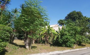 Lot for sale in Cebu City, Maryville Subdivision