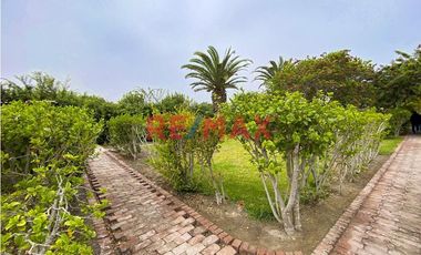 Casa De Campo Con Bungalows Para Inversion!!!!