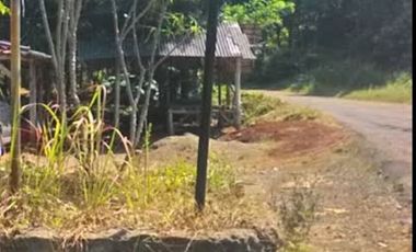 Dijual Tanah Strategis di Cariu Bogor