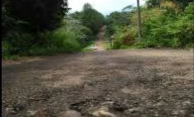 Dijual Tanah Strategis di Cariu Bogor