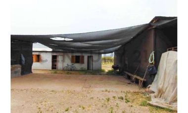 VENTA PREDIO AGRÍCOLA CON MANEJO ORGÁNICO-TIL TIL