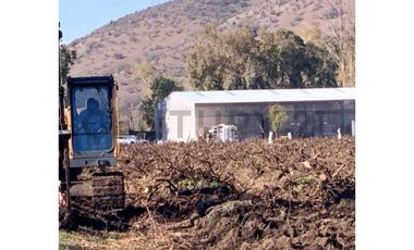 VENTA PREDIO AGRÍCOLA CON MANEJO ORGÁNICO-TIL TIL