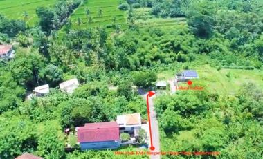 [E82FB7] Land for sale 2500m2 - Buleleng, Bali